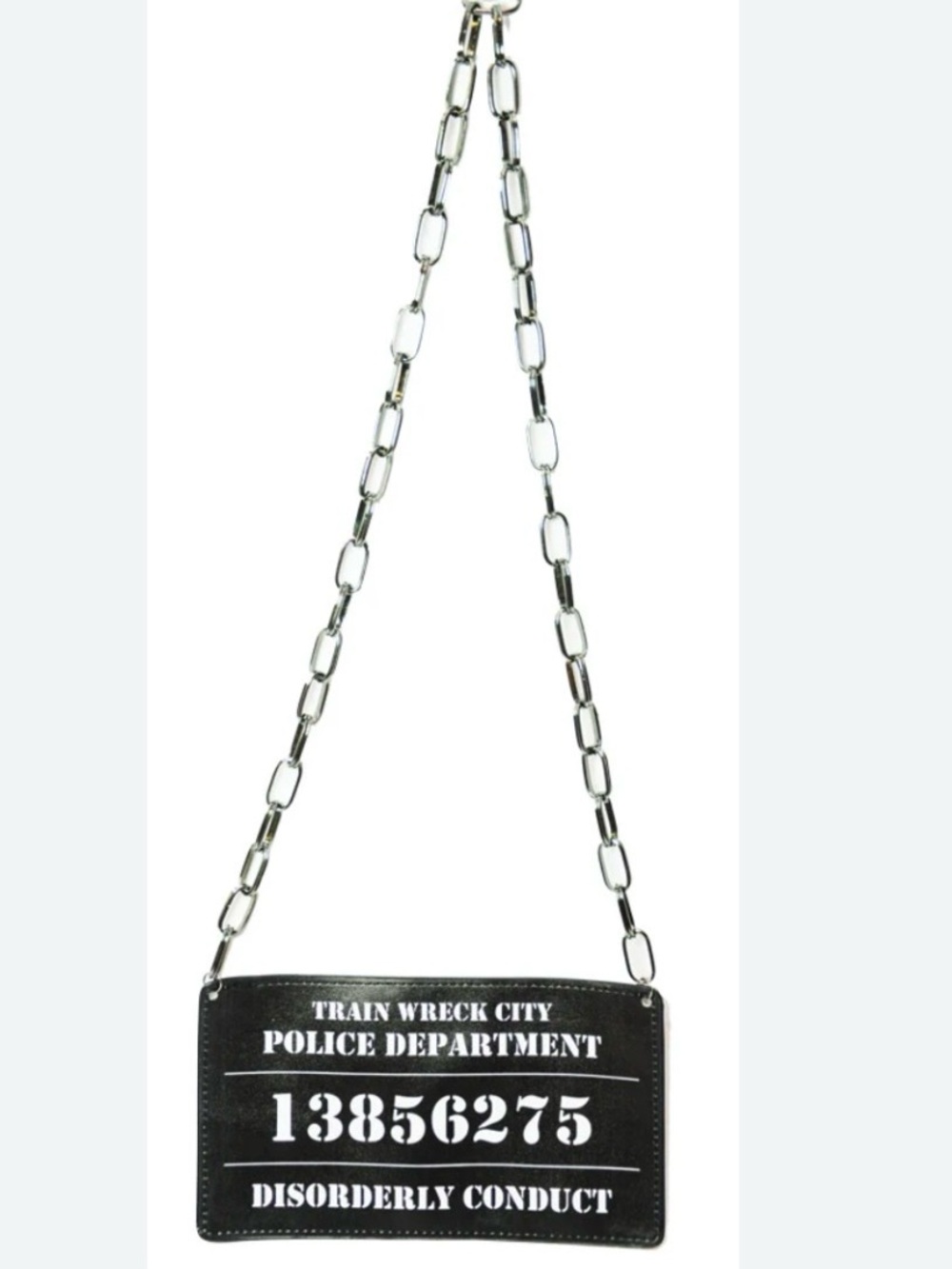 Novelty Mugshot Necklace on a Chain: “Disorderly Conduct” gag gift, costume